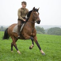 War Horse (Caballo de batalla)