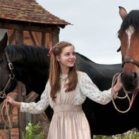 War Horse (Caballo de batalla)