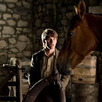 War Horse (Caballo de batalla)