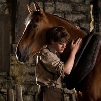 War Horse (Caballo de batalla)