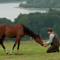 War Horse (Caballo de batalla)