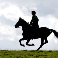 War Horse (Caballo de batalla)