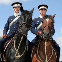 War Horse (Caballo de batalla)