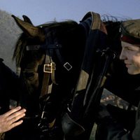 War Horse (Caballo de batalla)