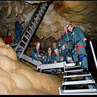 La cueva de los sueños olvidados