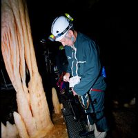 La cueva de los sueños olvidados