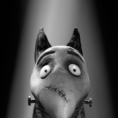 Sparky, de 'Frankenweenie'