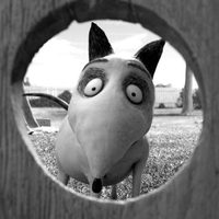 Frankenweenie