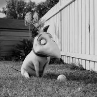 Frankenweenie