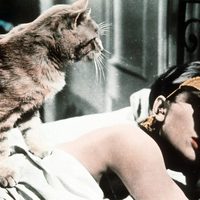 Audrey Hepburn junto a "gato" en 'Desayuno con diamantes'