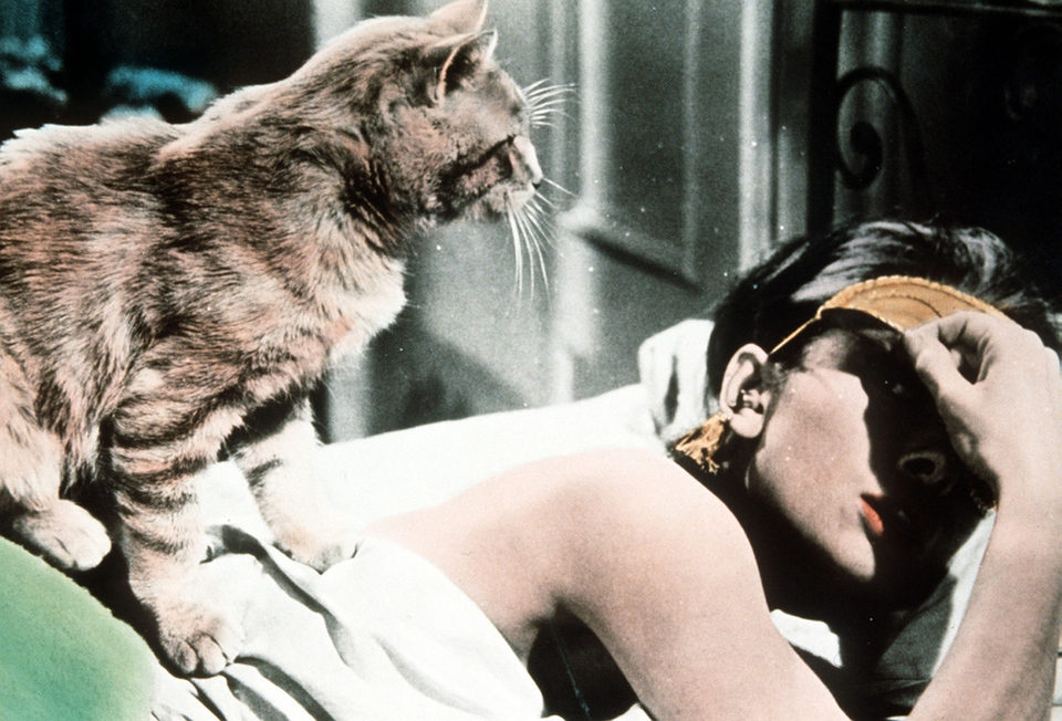 Audrey Hepburn junto a "gato" en 'Desayuno con diamantes'