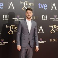 Luis Fernández en la alfombra roja de los Goya 2013