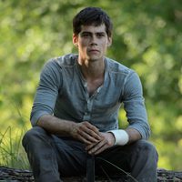 The Maze Runner