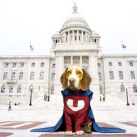 Superdog