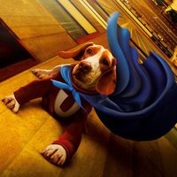 Superdog