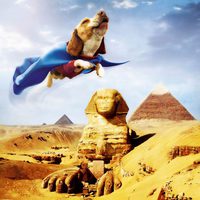 Superdog