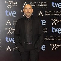 Javier Cámara en la alfombra roja de la fiesta de los nominados a los premios Goya 2014