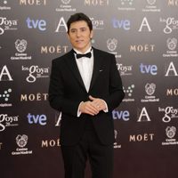 Manel Fuentes en la alfombra roja de los Goya 2014