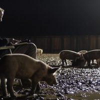 Upstream Color