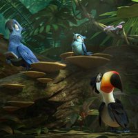 Rio 2