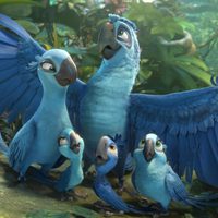 Rio 2