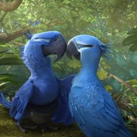 Rio 2