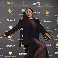 Rossy de Palma en los Premios Feroz 2015