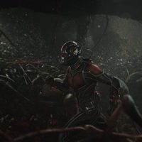 Ant-Man