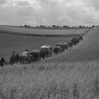 Heimat ? La otra tierra