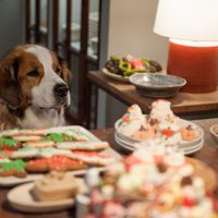 Navidades, ¿bien o en familia?