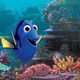 Buscando a Dory