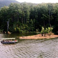 El territorio de la bestia