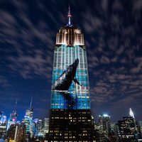 Racing Extinction