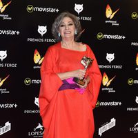 Luisa Gavasa, Premio Feroz 2016 a Mejor Actriz de reparto