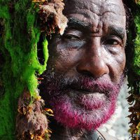 Lee Scratch Perry's Vision of Paradise