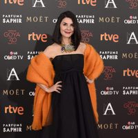 Ana Fernández en la alfombra roja de los Premios Goya 2016