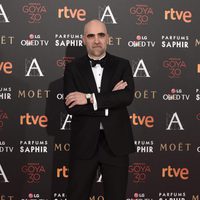 Luis Tosar en la alfombra roja de los Premios Goya 2016