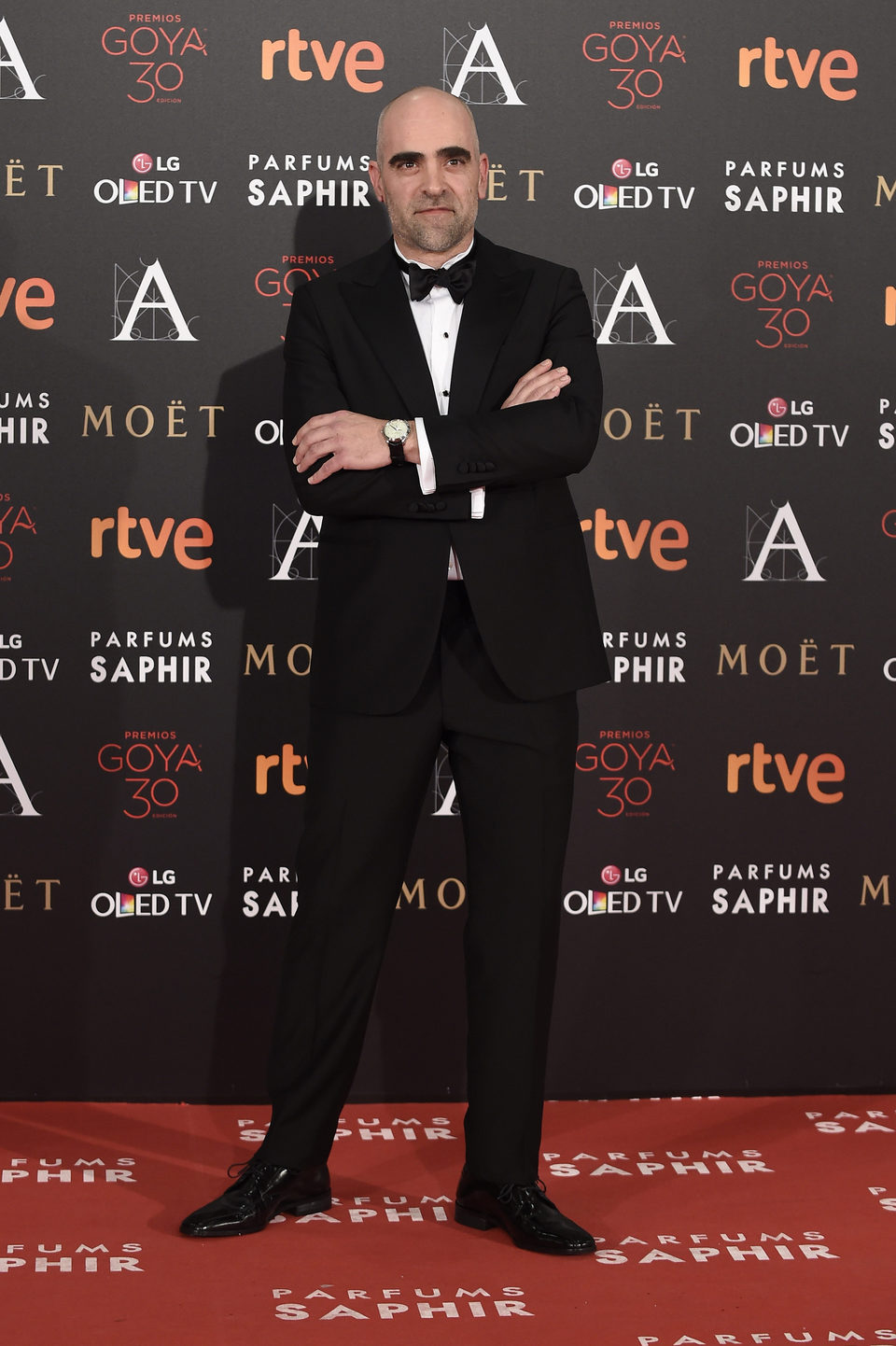 Luis Tosar en la alfombra roja de los Premios Goya 2016