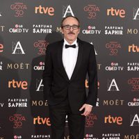 Fernando Guillén Cuervo en la alfombra de los Premios Goya 2016