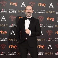 Javier Cámara en la alfombra roja de los Premios Goya 2016