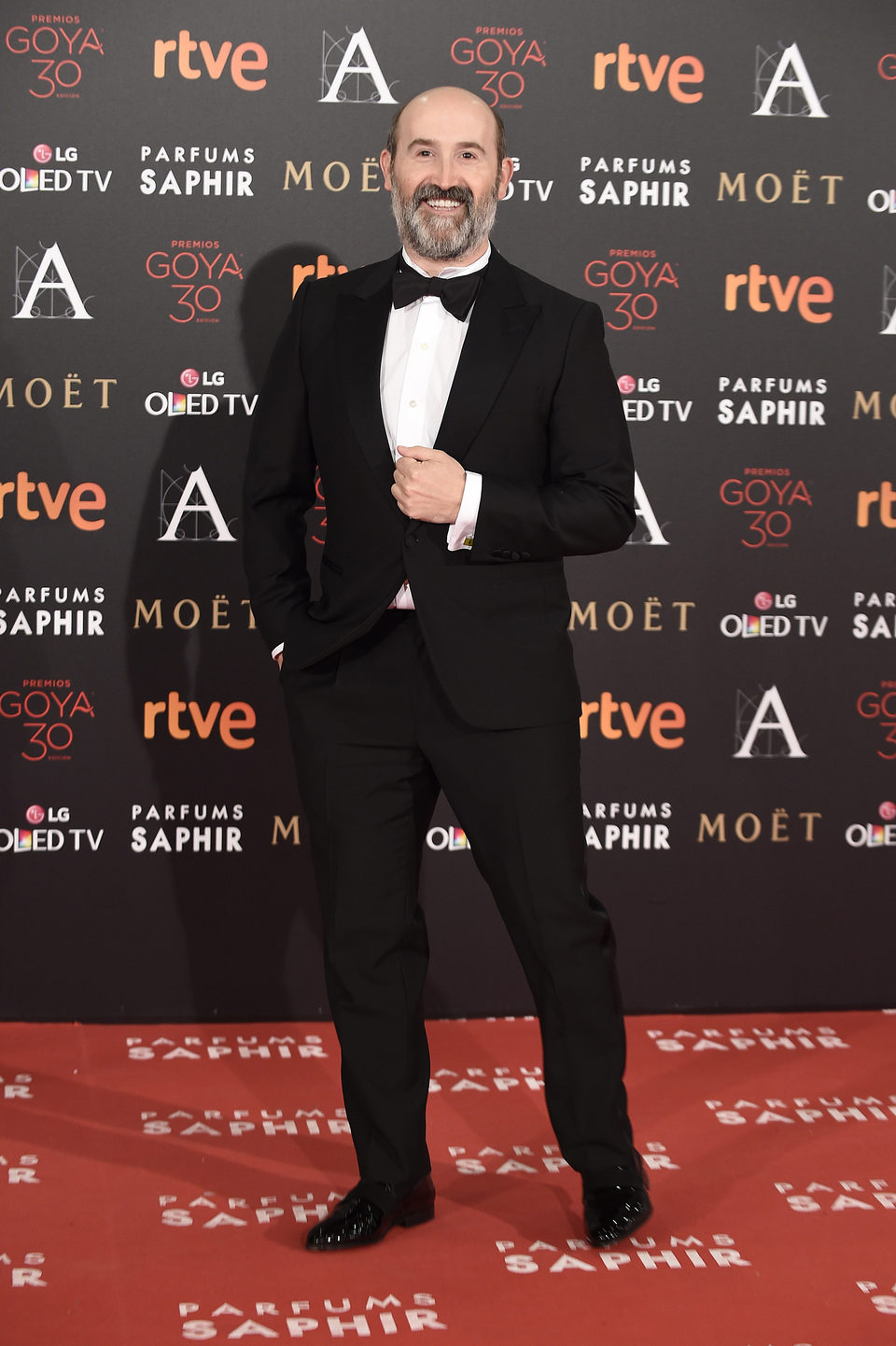 Javier Cámara en la alfombra roja de los Premios Goya 2016