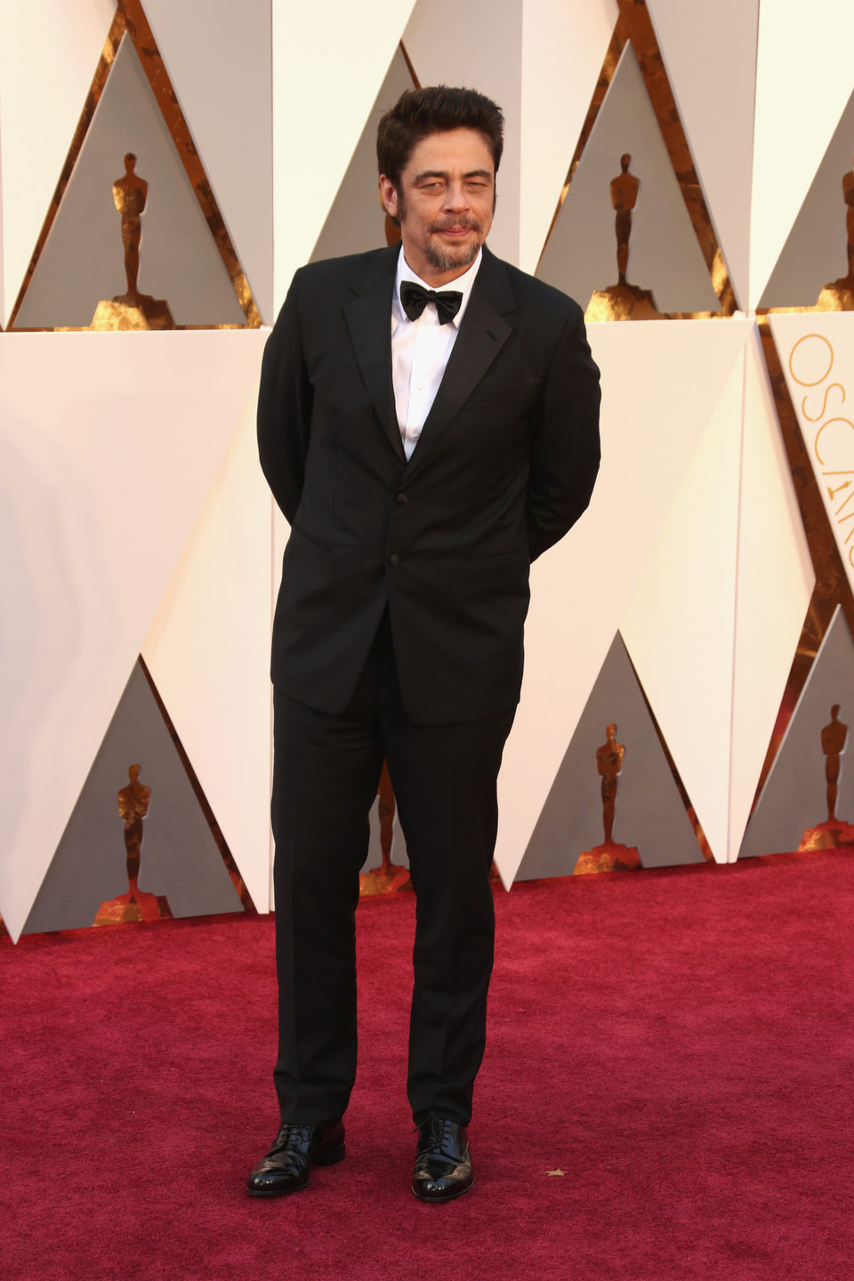 Benicio del Toro en la alfombra roja de los Oscar 2016