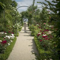 Pintando el jardín moderno: De Monet a Matisse