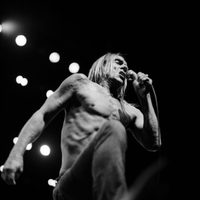 Iggy Pop: El concierto de Basilea