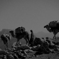 Socotra, la isla de los genios