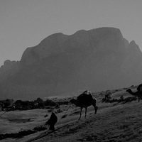 Socotra, la isla de los genios