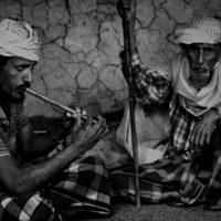 Socotra, la isla de los genios