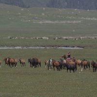 Sutak, nómadas del viento