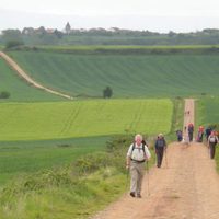  ¡Buen camino! Seis peregrinos, un destino