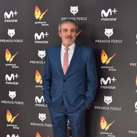 Fernando Guillén Cuervo en la alfombra roja de los Premios Feroz 2017